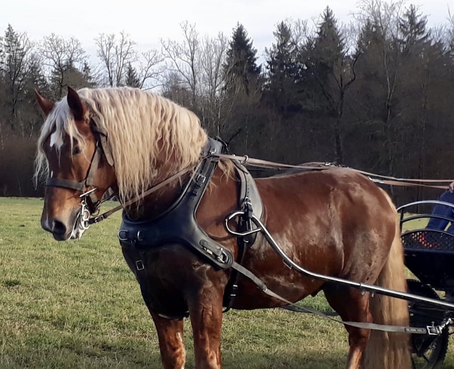 Erste Ausfahrt im neuen Zuhause 