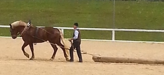 Sphinx - Leistungsprüfung in Schwaiganger